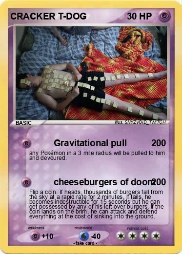 Pokemon CRACKER T-DOG