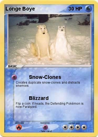 Pokemon Longe Boye