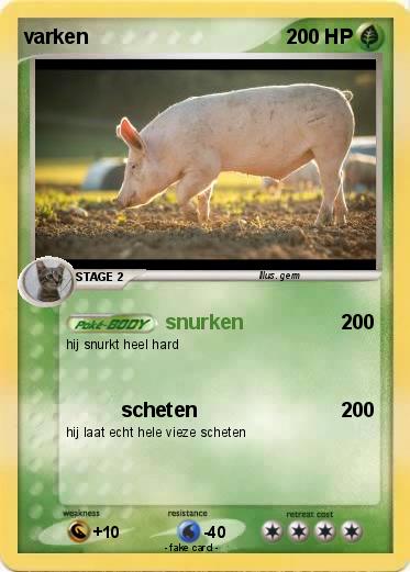Pokemon varken