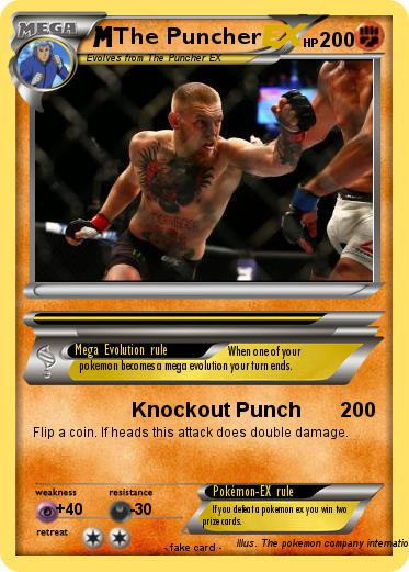 Pokemon The Puncher