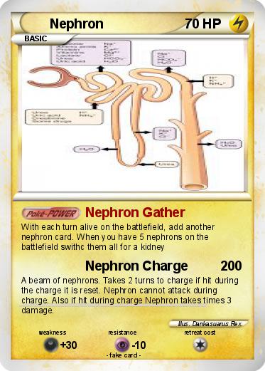 Pokemon Nephron