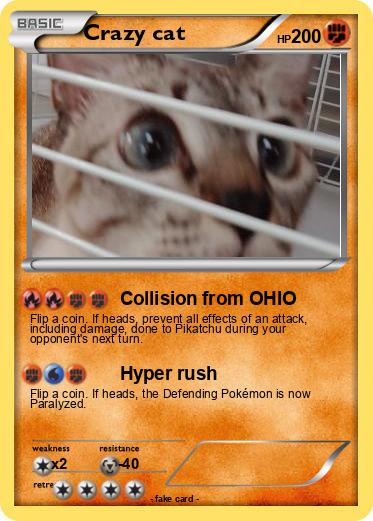 Pokemon Crazy cat