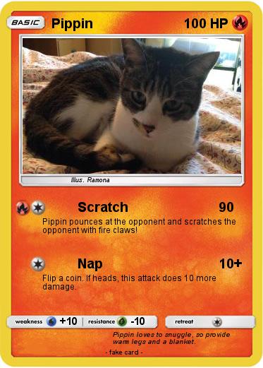 Pokemon Pippin