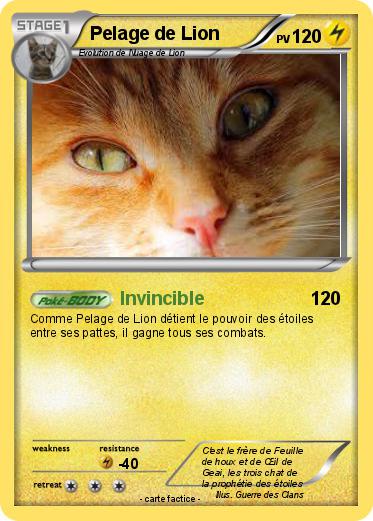 Pokemon Pelage de Lion