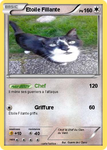 Pokemon Etoile Fillante