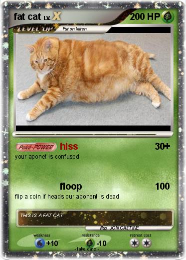 Pokemon fat cat