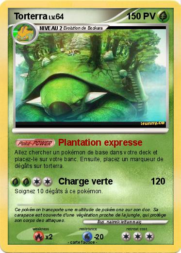 Pokemon Torterra