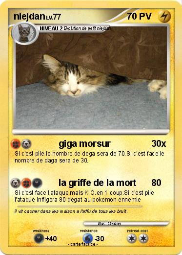 Pokemon niejdan