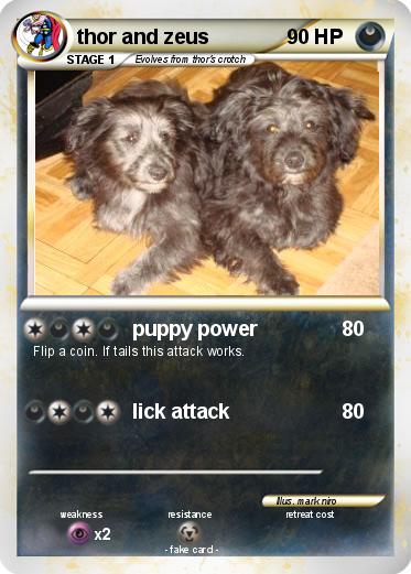 Pokemon thor and zeus