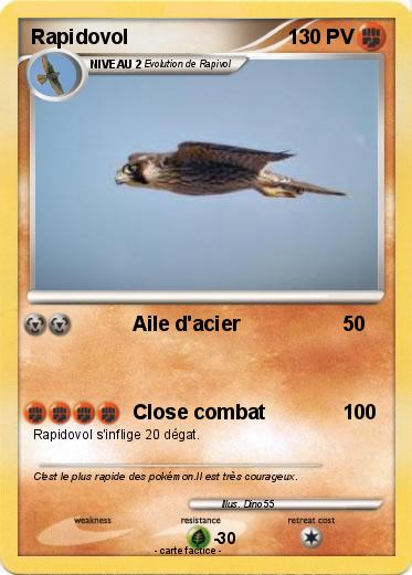 Pokemon Rapidovol