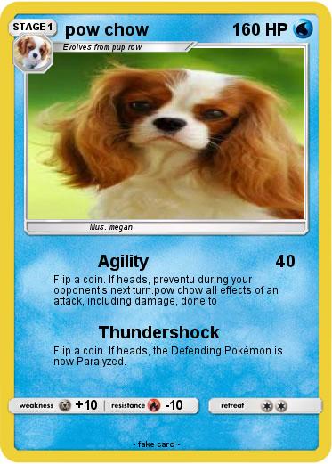 Pokemon pow chow