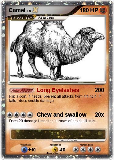 Pokemon Camel