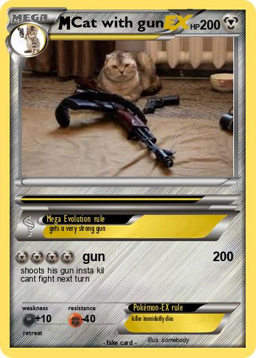 Pokemon Cat with gun