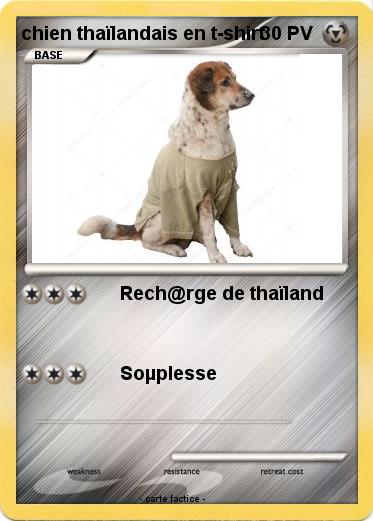Pokemon chien thaïlandais en t-shirt