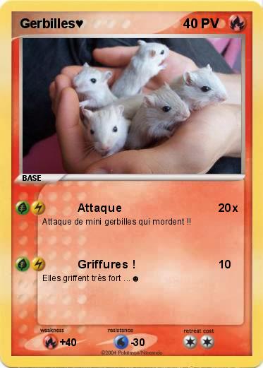 Pokemon Gerbilles♥