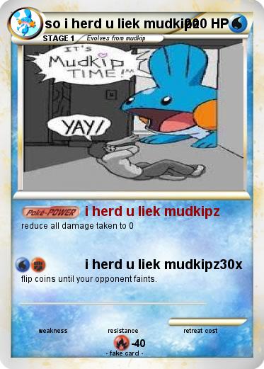 Pokemon so i herd u liek mudkipz
