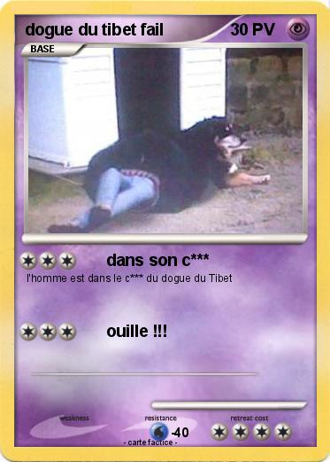 Pokemon dogue du tibet fail