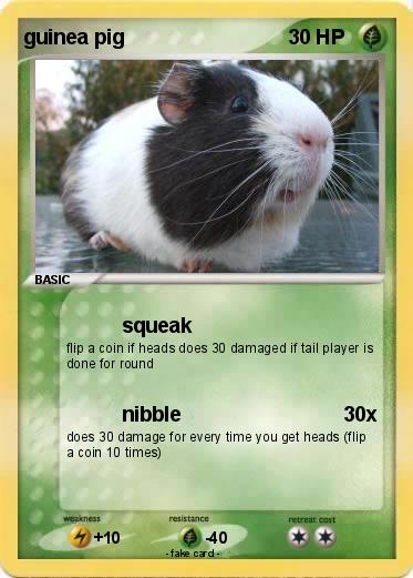 Pokemon guinea pig