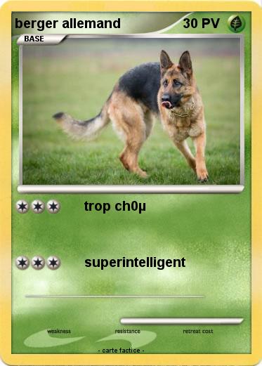 Pokemon berger allemand