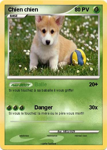 Pokemon Chien chien