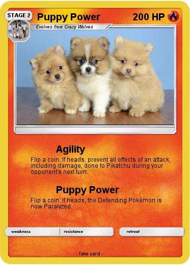 Pokemon Puppy Power