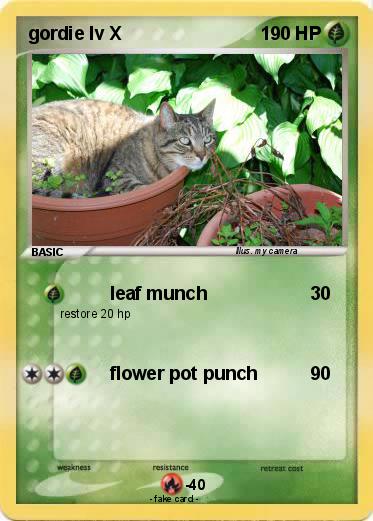 Pokemon gordie lv X