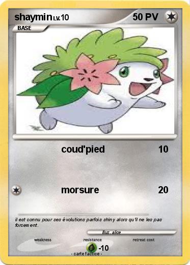 Pokemon shaymin