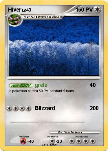 Pokemon Hiver