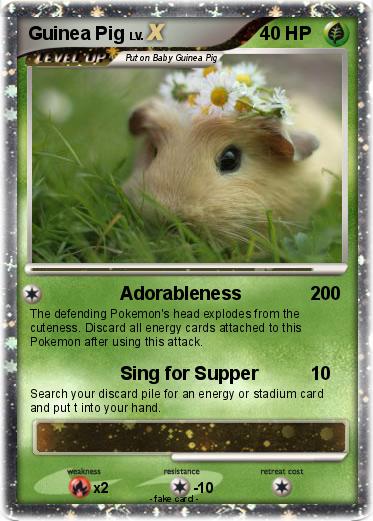 Pokemon Guinea Pig