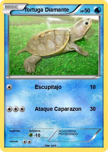 Pokemon Tortuga Diamante