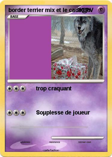 Pokemon border terrier mix et le cade@u