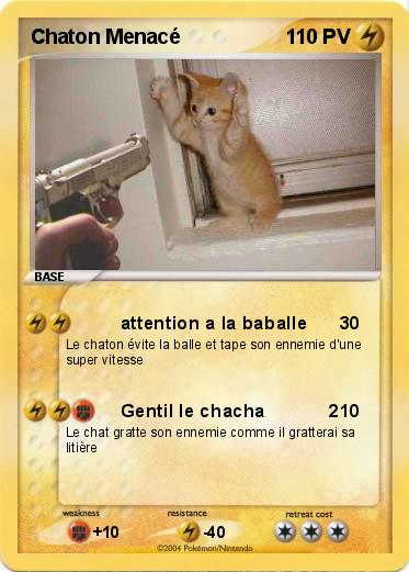 Pokemon Chaton Menacé