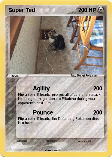 Pokemon Super Ted