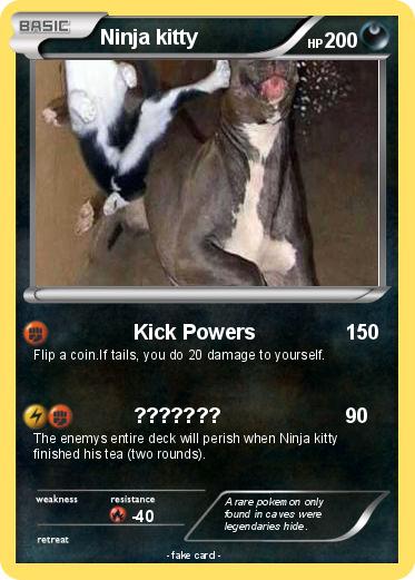 Pokemon Ninja kitty