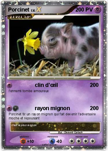 Pokemon Porcinet