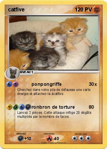 Pokemon catfive