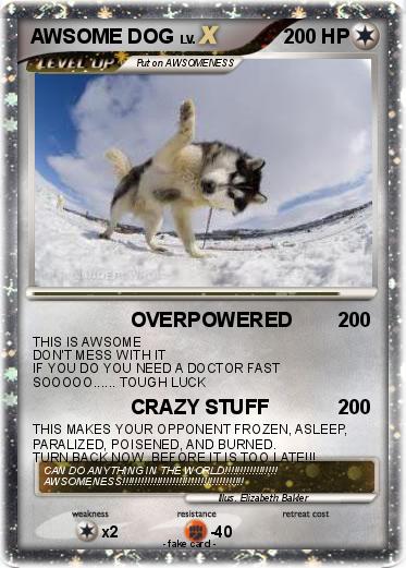Pokemon AWSOME DOG