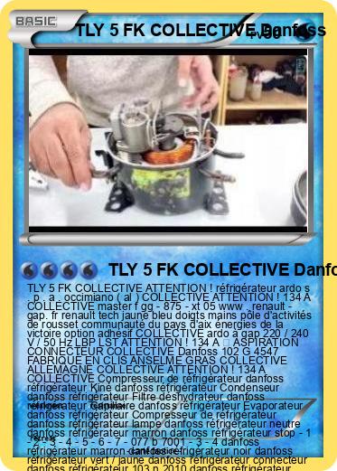 Pokemon TLY 5 FK COLLECTIVE Danfoss