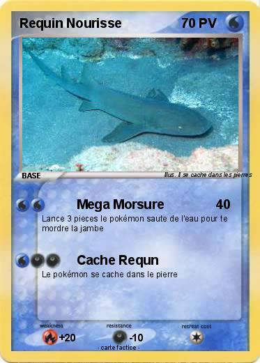 Pokemon Requin Nourisse