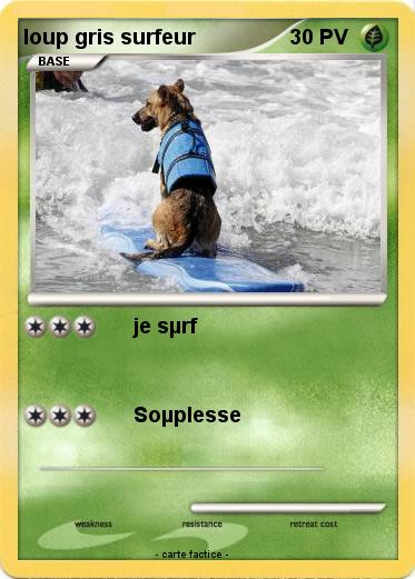 Pokemon loup gris surfeur