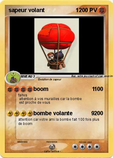 Pokemon sapeur volant                    1