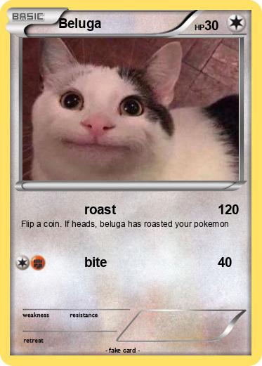Pokemon Beluga