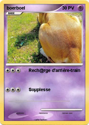 Pokemon boerboel