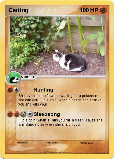 Pokemon Certing