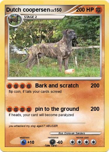 Pokemon Dutch coopersen