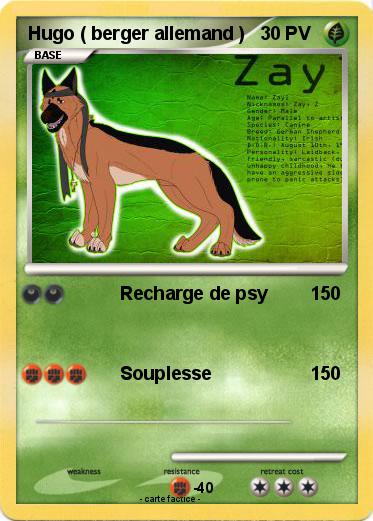 Pokemon Hugo ( berger allemand )