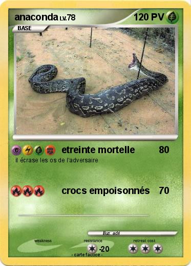 Pokemon anaconda