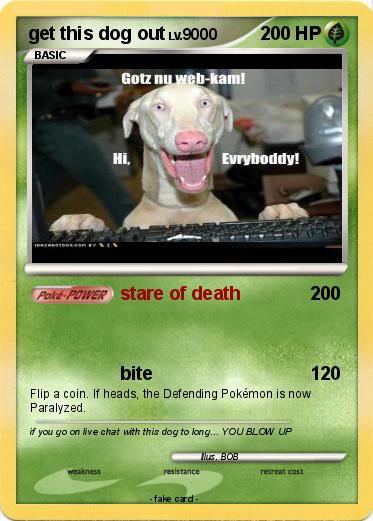Pokemon get this dog out