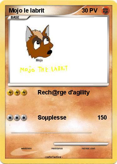 Pokemon Mojo le labrit