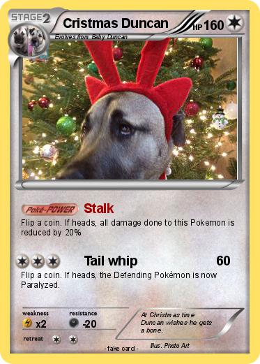 Pokemon Cristmas Duncan
